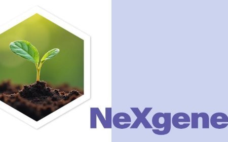 A Revolutionary Step in Eco-Friendly Insulation: Seho Tech Unveils NeXgener(R) Foam Blowing Agent