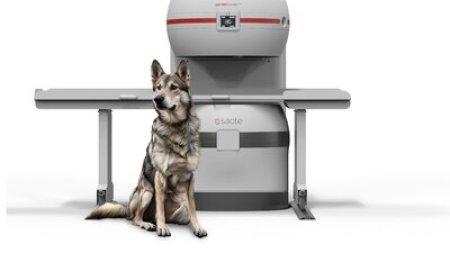 Esaote presents at ECVS 2025 the new generation of veterinary MRI, Vet -MR Grande ELITE