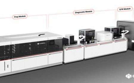 Seegene unveils the world's first unattended PCR automation, igniting a global diagnostic paradigm shift at ADLM 2025