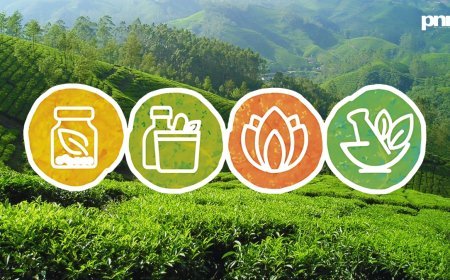 India’s Healing Comeback: How AYUSH Is Quietly Winning the Healthcare Game with Ancient Wisdom