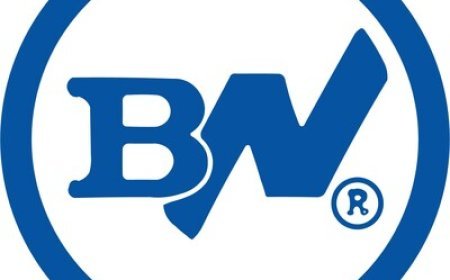 BUTLER NATIONAL CORPORATION REPURCHASES 2.41 MILLION SHARES