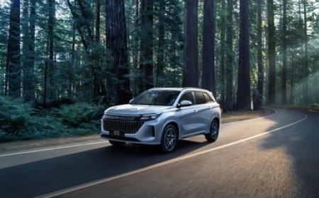 DFSK Named Technical Sponsor of 2025 ICF Canoe Sprint and Paracanoe World Championships: Empowering Global Events with Intelligent Mobility Experience