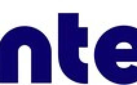 New Bounteous White Paper Maps the AI Whitespace for Business Leaders