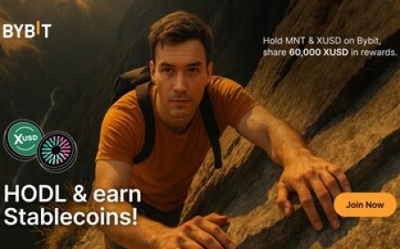 Bybit Lists StraitsX USD (XUSD) and Launches XUSD HODLverse With 60,000 XUSD in Rewards