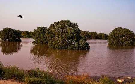 Rs. 2.3+ Crore Raised on Impact Guru to Help Punjab's Flood Survivors Rebuild Their Lives