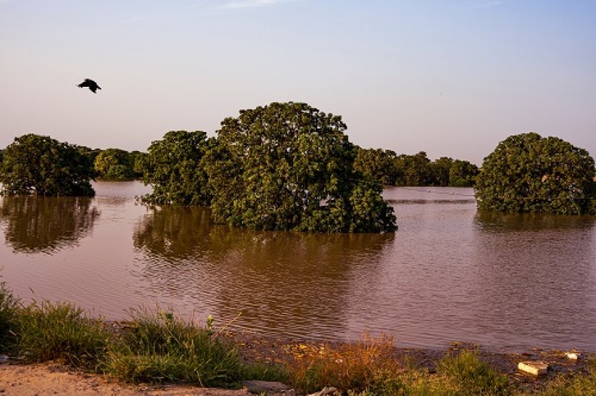 Rs. 2.3+ Crore Raised on Impact Guru to Help Punjab's Flood Survivors Rebuild Their Lives