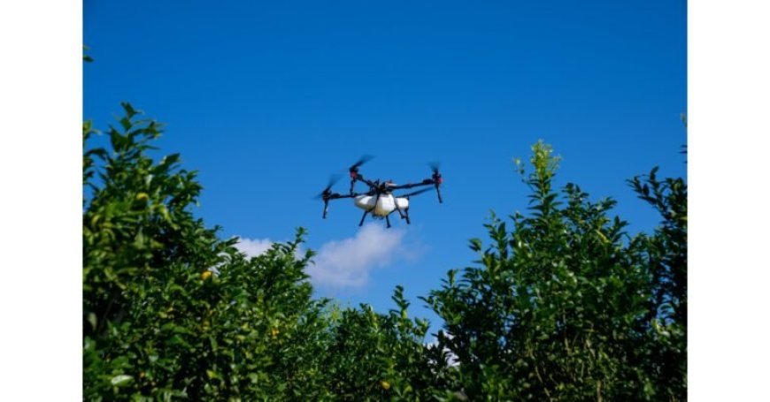 XAG Drones Give Brazilian Farmers the Edge Amid Unpredictable Weather