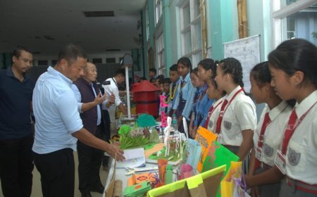 Nagaland Celebrates Creativity and Innovation in Classrooms at the Project-Based Learning (PBL) Fair 2025