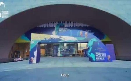 Another Star-Studded Event in Hengqin Draws Global Attention