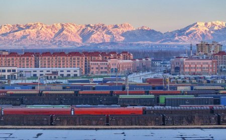 Global Art in Shanghai • Living with Art