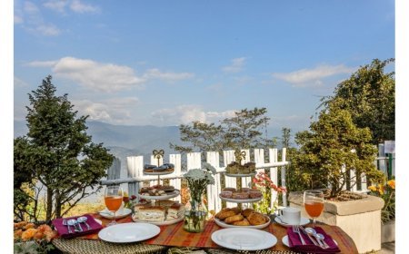 Sterling Darjeeling offers guests an immersive opportunity to experience uninterrupted Kanchenjunga views