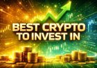 Best Crypto to Invest In: Solana and Dogecoin Price Fade as DeepSnitch AI Goes Vertical With USD 1.57M Raised