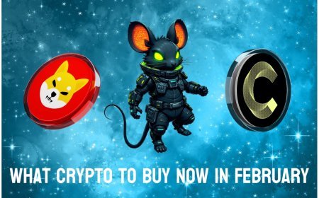 What Crypto To Buy Now in February as Prices Are Down: Shiba Inu and Canton Make Sense, but DeepSnitch AI Is the Most Explosive 100x Deal