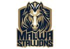 Megha Rajak and Suraj Rajak Launch Malwa Stallions, Signaling New Era for MP Cricket