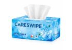 Careswipe: Redefining Everyday Hygiene with Quality and Care